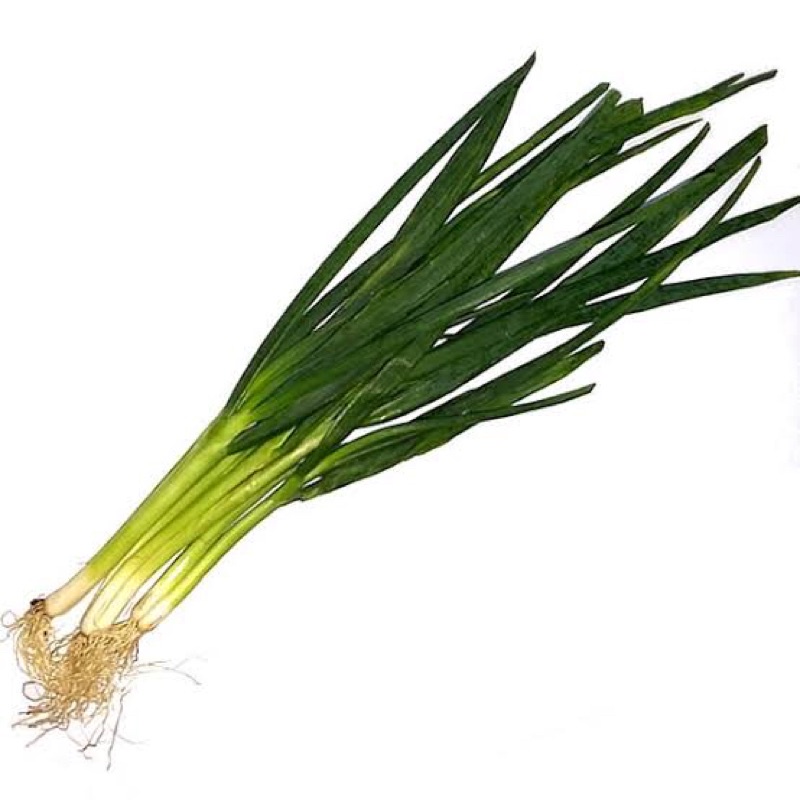 

Daun Bawang