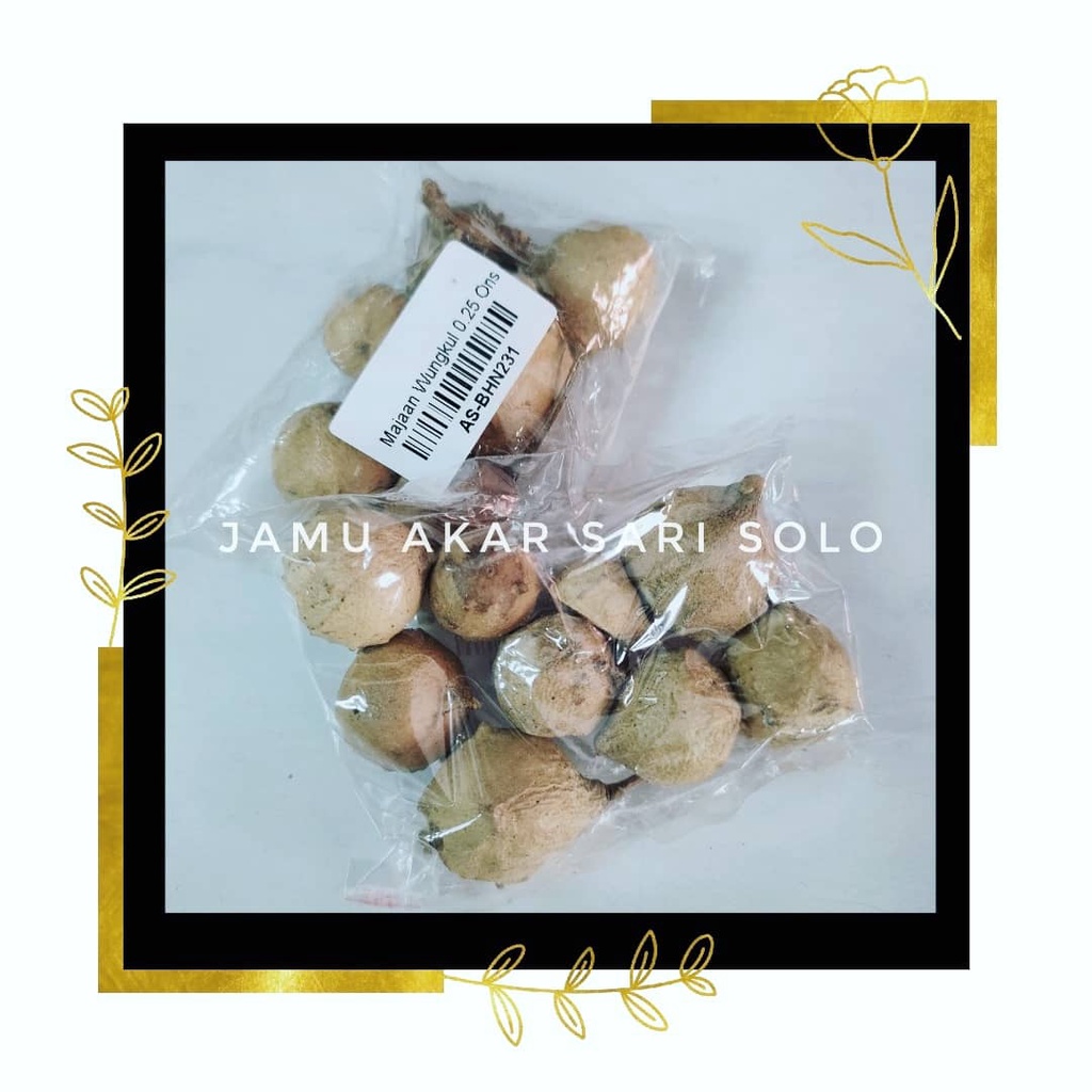 

Jamu Akar Sari - Buah Manjakani Kering - Buah Majaan - Mengatasi Daerah Kewanitaan