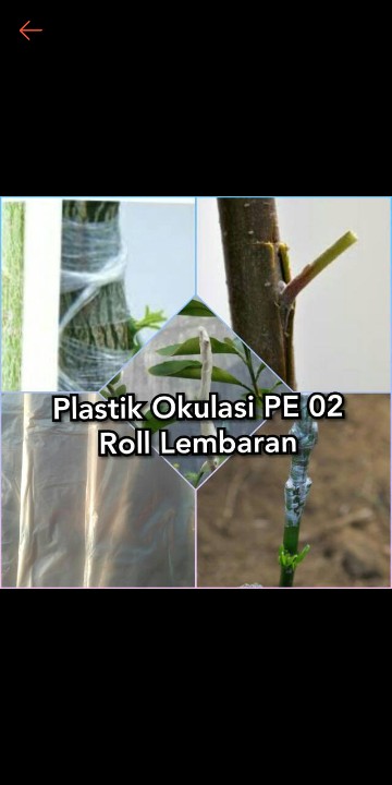 Plastik Okulasi Pe 02 Roll Lembaran Tunas Tembus Plastik Sendirinya