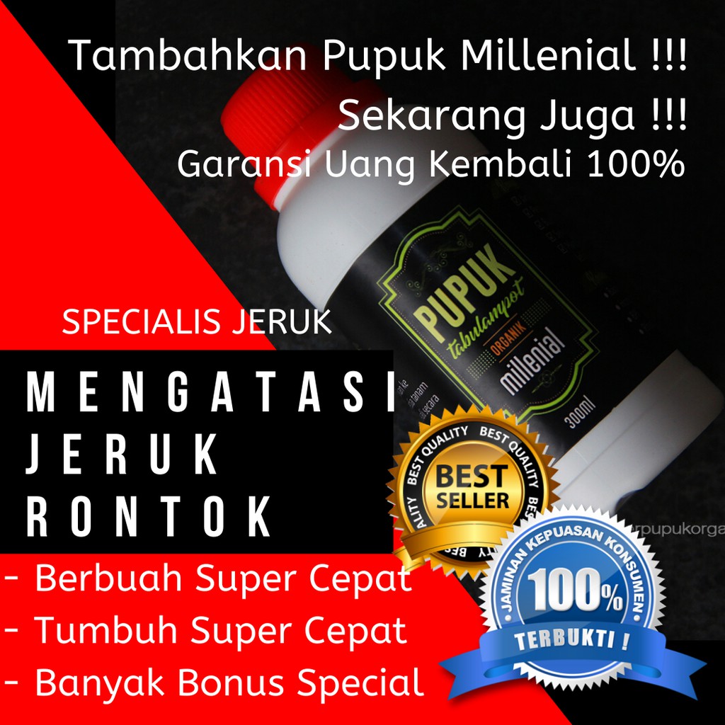 Pupuk Jeruk Lemon Pupuk Jeruk Manis Pupuk Jerum Nagami Pupuk Jeruk Santang Pupuk Jeruk Limau