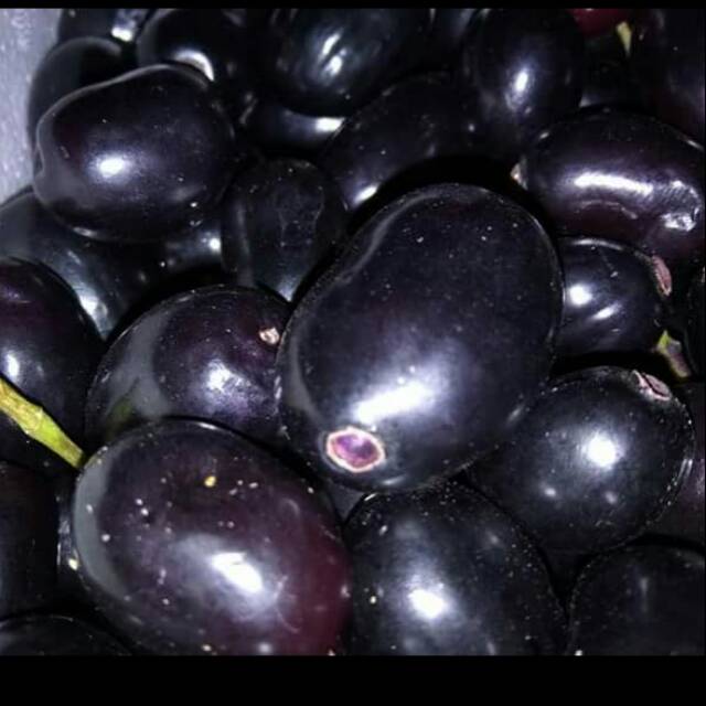 Buah juwet buah jamlang buah duwet 1kg