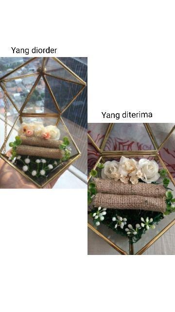 Tempat Cincin Terrarium