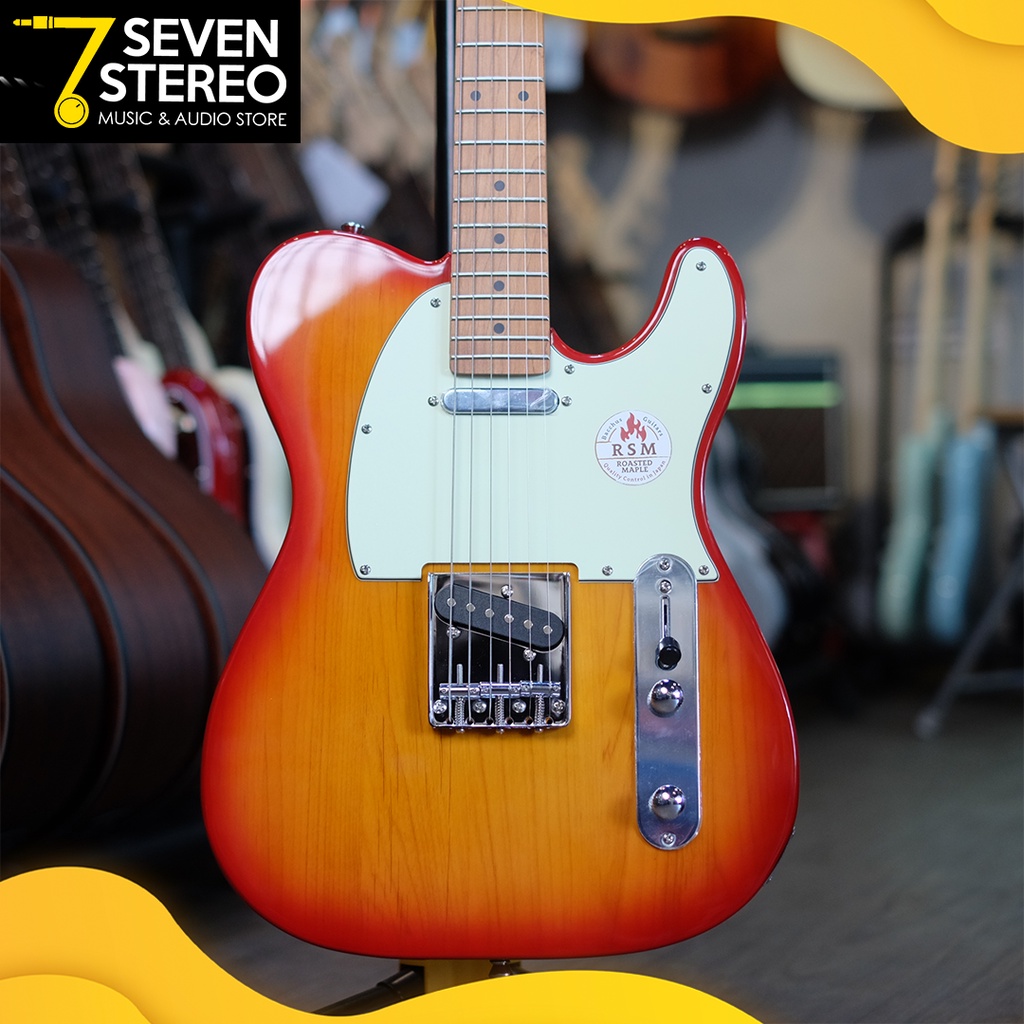 Bacchus BTE-1 RSM BTE1RSM Sunburst Roasted Maple Series Telecaster