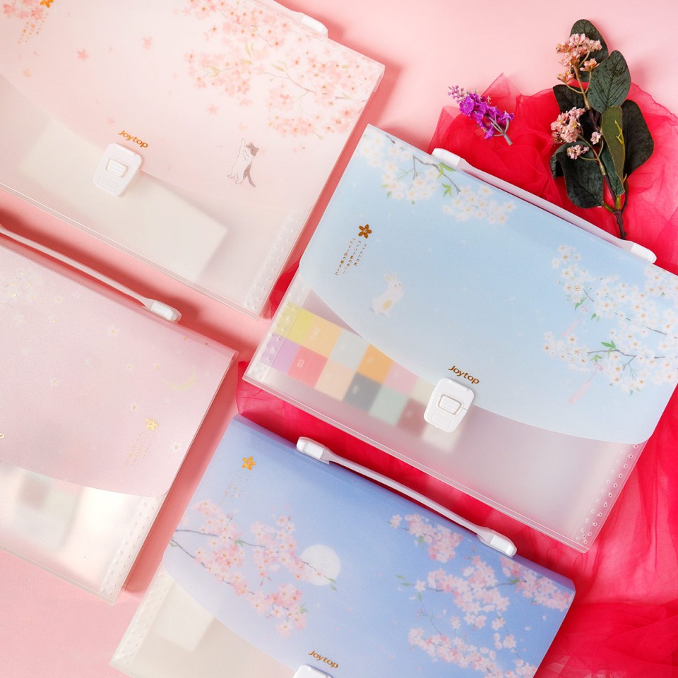 

Dear Cherry Blossom Plastic Folder Briefcase Eym House