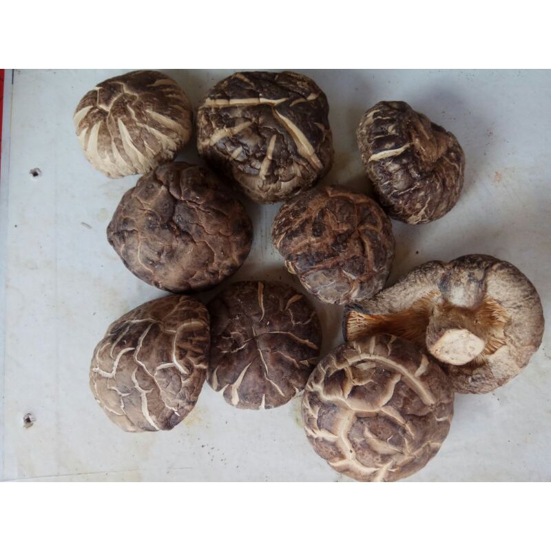 

Jamur Shitake kering hioko xiang gu fragrant