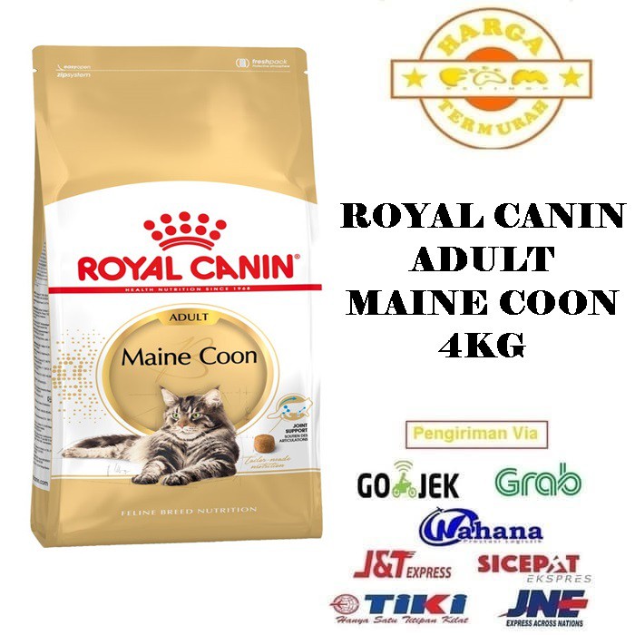 Royal Canin Maine Coon Adult 4Kg - Makanan Kucing Dewasa (Cat Food)