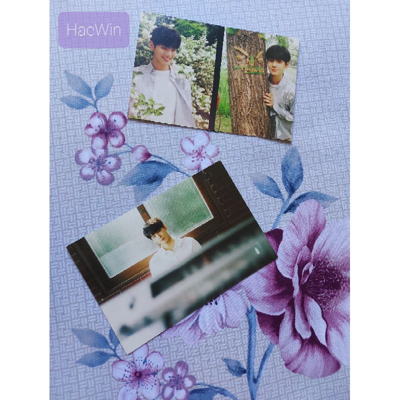 OFFICIAL POSTCARD FANCLUB 1st GEN CHA EUNWOO ASTRO