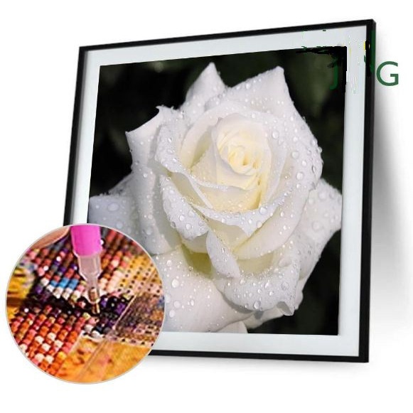 DIY Diamond Painting - 5D White Rose Stitch Kit