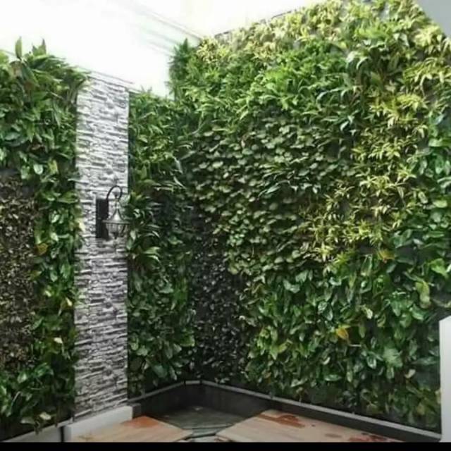 Jasa taman vertical garden