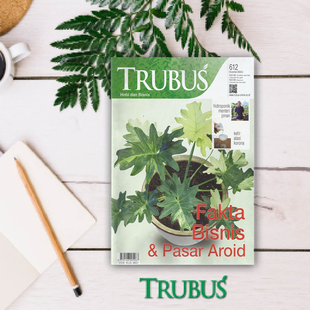 MAJALAH TRUBUS EDISI 612 NOVEMBER 2020 (FAKTA BISNIS DAN PASAR AROID)