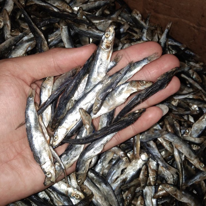 

lemuru kecil asin atau lesi super