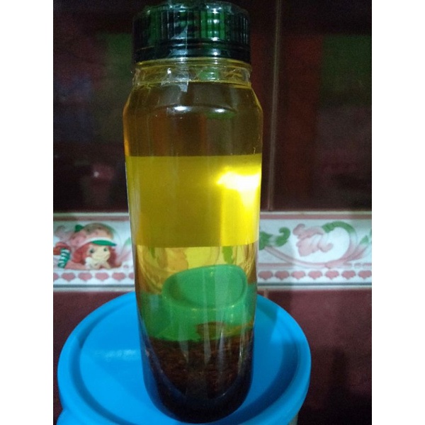 Minyak Bawang dan Bumbu Bubuk Bawang Rempah