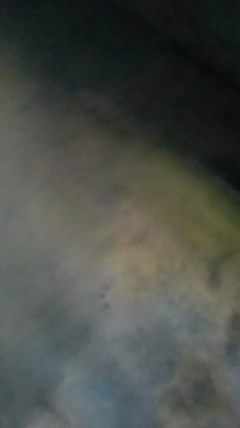 Cetakan Coklat  Silikon Beruang Bunga,kado,mawar,mahkota