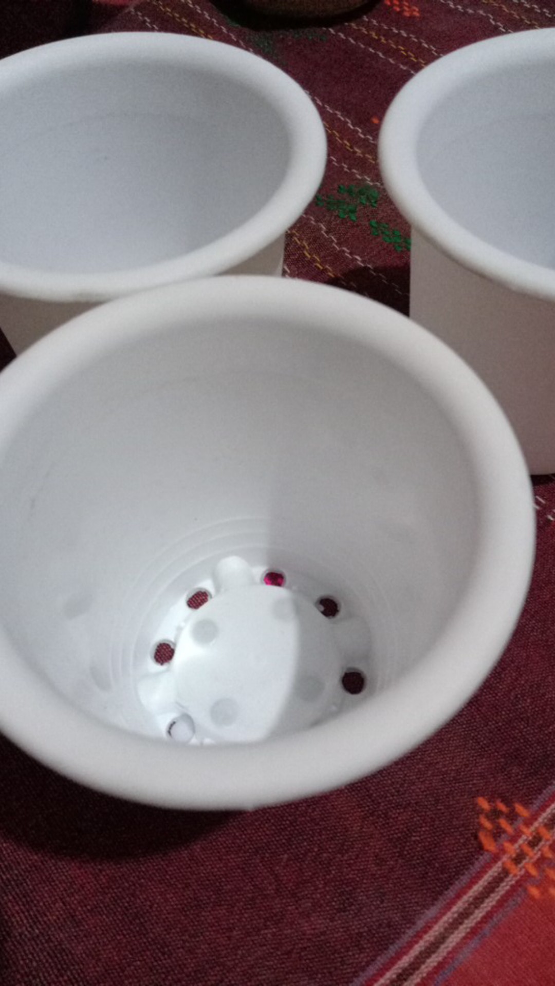 Pot Bunga Plastik Cactus 10