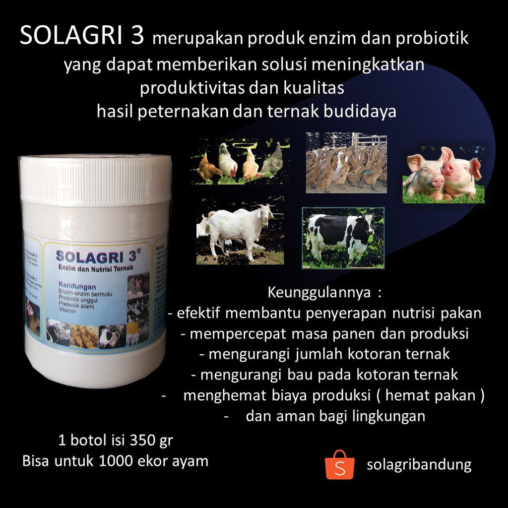 Solagri 3 enzim dan nutrisi unggul untuk ternak ayam petelur-1