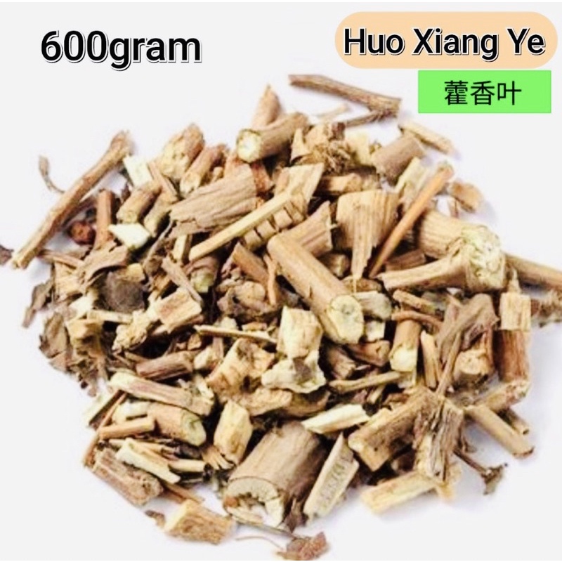 [600gram]  Huo Xiang / Fu Xiang Ye - Herba Agastaches Rugosus
