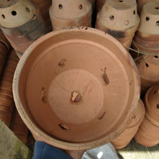 Pot anggrek ukuran 20 cm