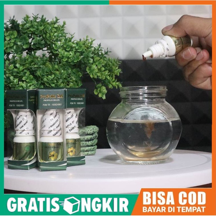 Obat Salep Gatal Kemaluan Pria - Obat Selangkangan Gatal, Berjamur dan Hitam - Gatel Jamur Kulit Ruam Kelamin Herpes di Kelamin - Obat Gatel Kelamin - Obat Alami Untuk Gatal Kemaluan Pria Aman Tanpa Efek Samping Dengan Propolis SM 100% Asli-7