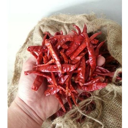 

cabe kering tanpa tangkai 250gram cabe kering india premium