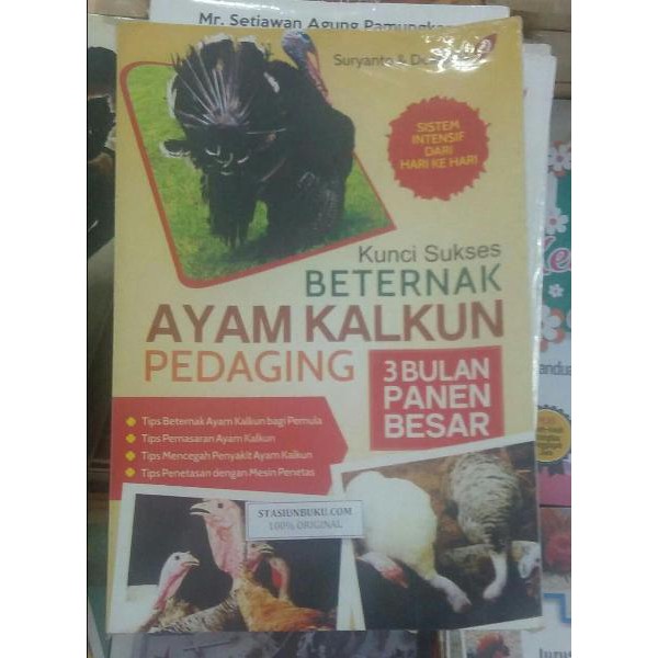 KUNCI SUKSES BETERNAK AYAM KALKUN PEDAGING - SURYANTO - ARASKA