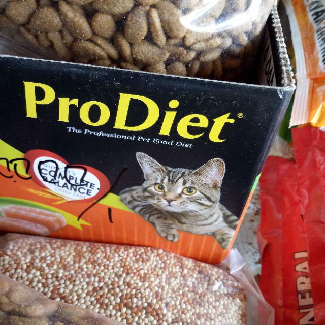 Walldecor Dekorasi  Kayu Poster Vintage Ukuran 20x30cm/ Lukisan Kamera