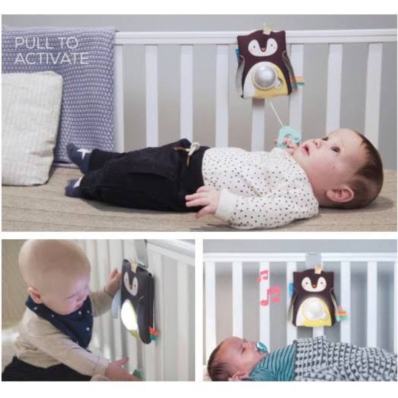 Taf toys Prince the penguin baby soother