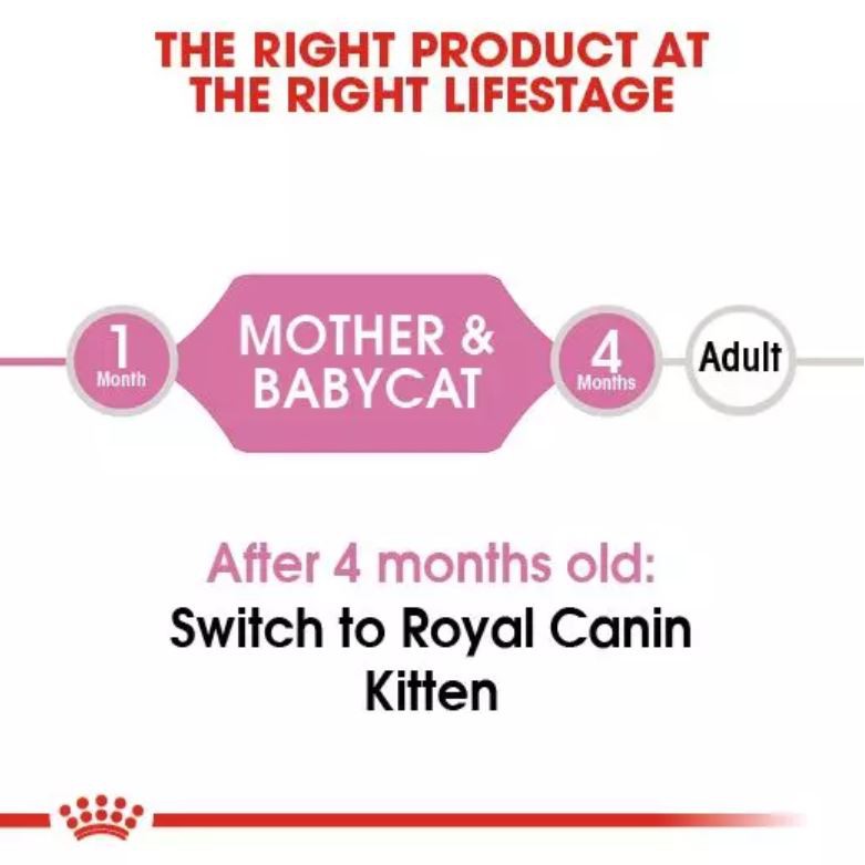 Royal Canin Mother and baby Cat Kaleng 195Gr &amp; 100Gr Royal Canin Mother and Baby Tray