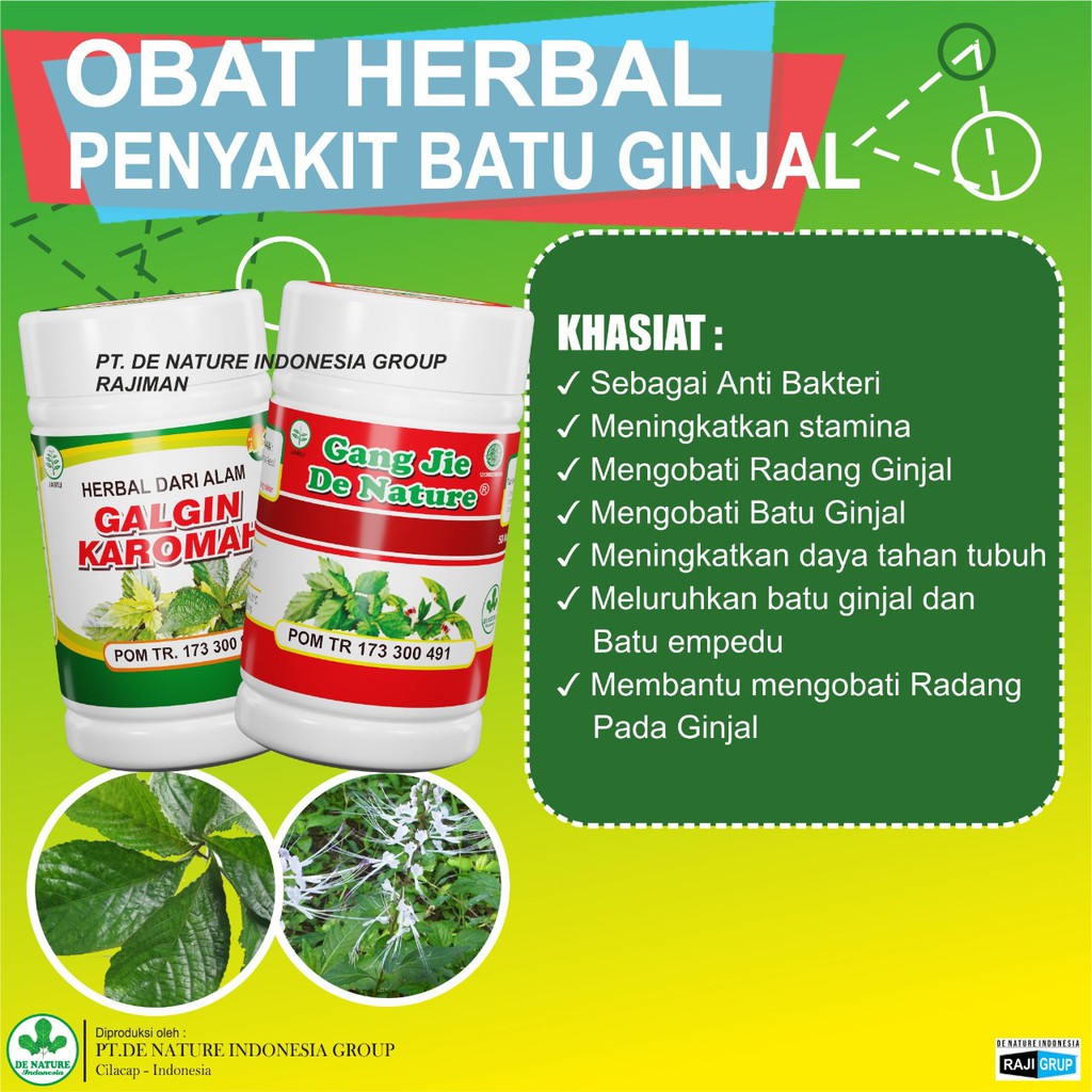 OBAT BATU GINJAL PENGHANCUR BATU EMPEDU & KENCING BATU 100% TUNTAS GALGIN DAN GHANGJIE DE NATURE