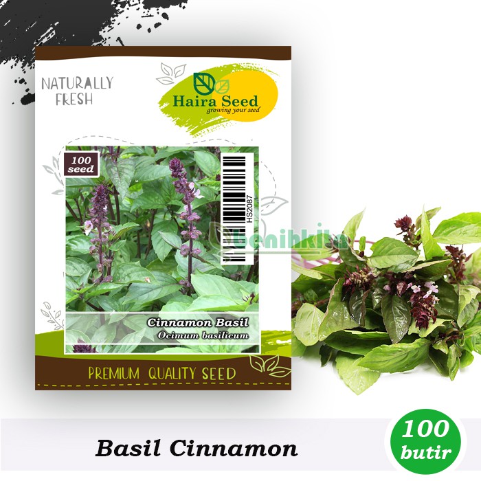 Benih-Bibit Basil Cinnamon (Haira Seed)