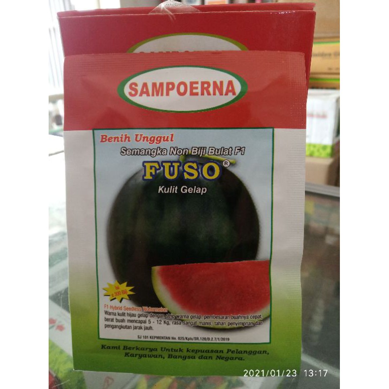 semangka FUSO F1