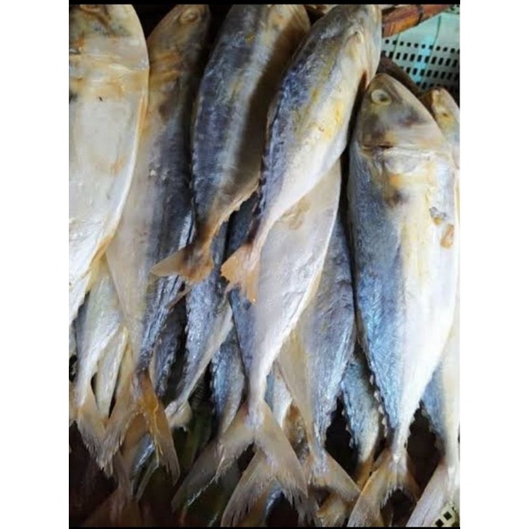 

Ikan Asin Peda - 1/2 kg