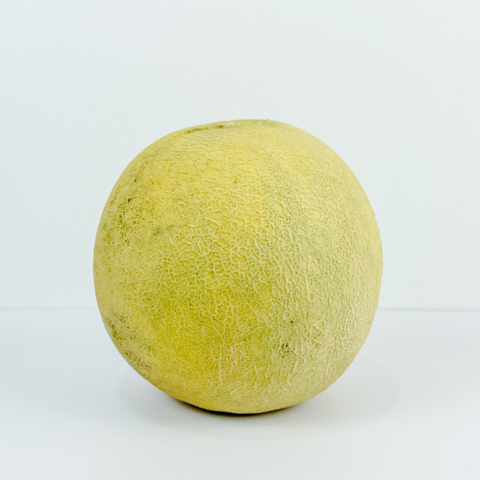 

Melon Sky Rocket 1.5 kg - Locarvest