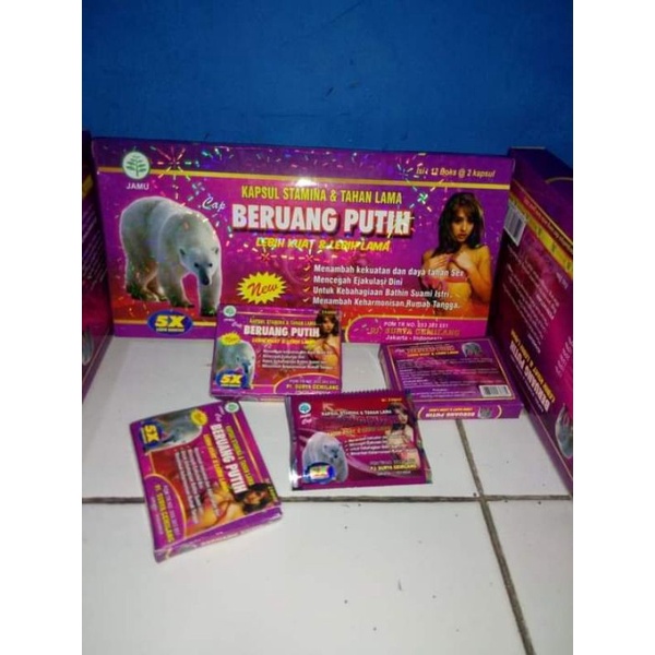 

Beruang putih Original