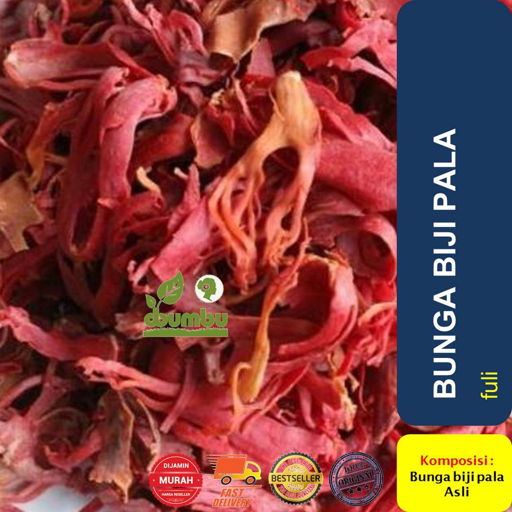 

Bunga Biji Pala 1000 gram / Fuli / Sempra