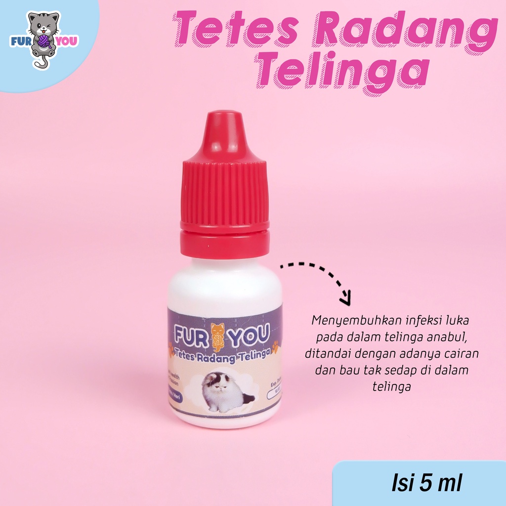 Obat Radang Telinga kucing Tetes radang telinga infeksi dan Keluar cairan di telinga