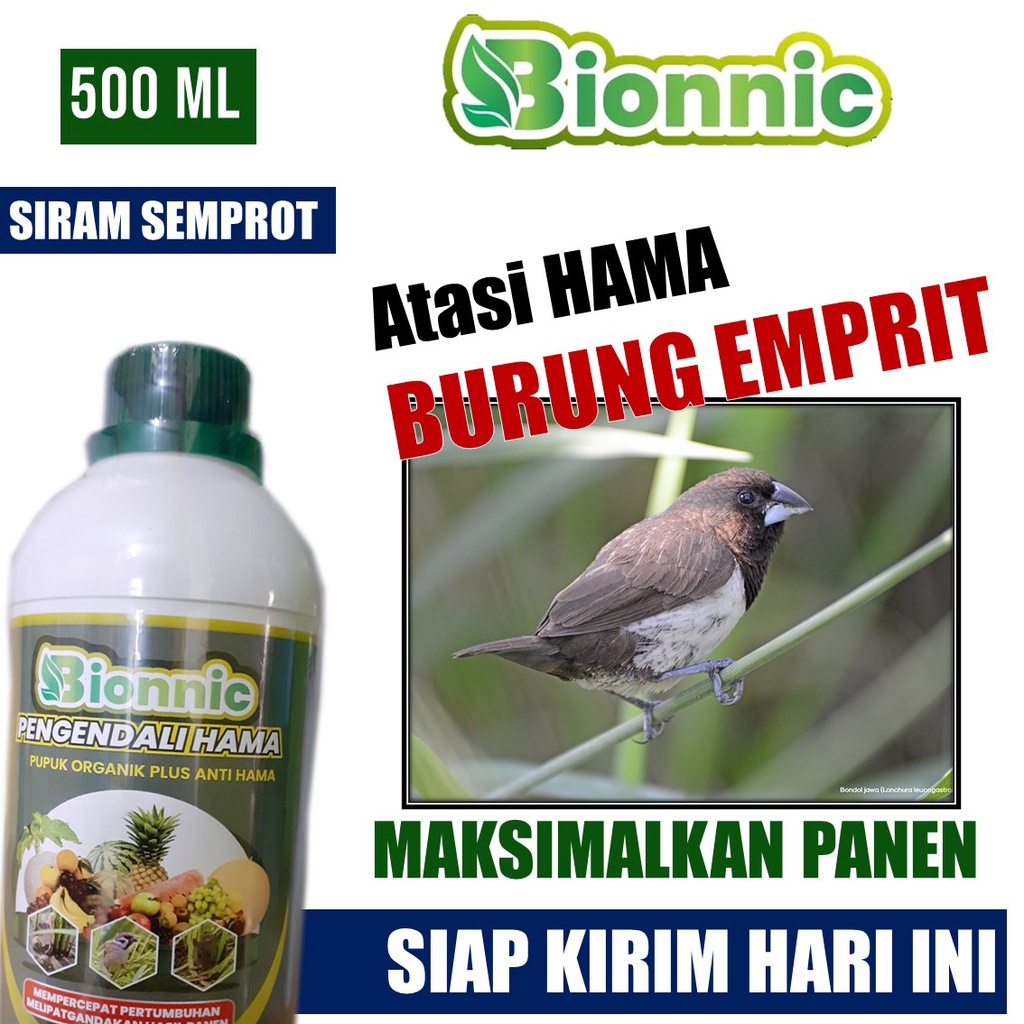 (TERLARIS) BIONNIC Racun Burung Pipit dan Tikus Sawah Mati Kering, Pupuk Pengusir Tikus dan Burung P