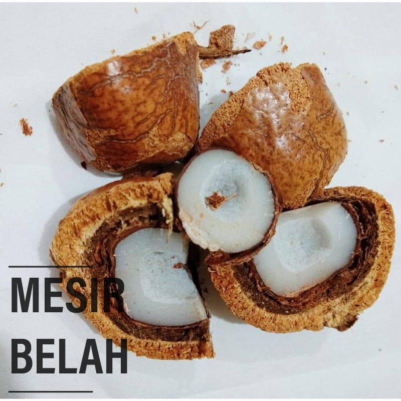 BUAH ZURIAT MADINAH MESIR 1 KG ZURIAT PROMIL BELAH DAN UTUH