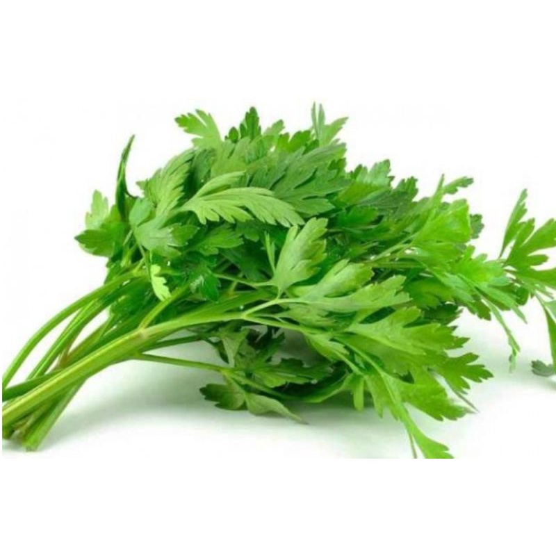 

KHUSUS BANJAR | 1 Ikat Daun Sop / Daun Seledri | Sayur Segar