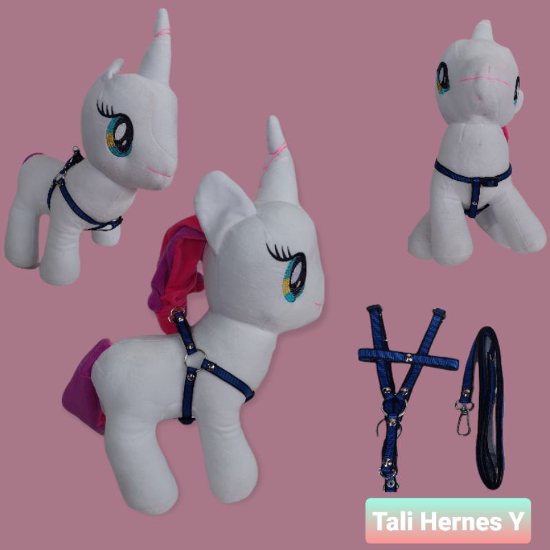 Tali Hernes Y BK Black Edition kucing