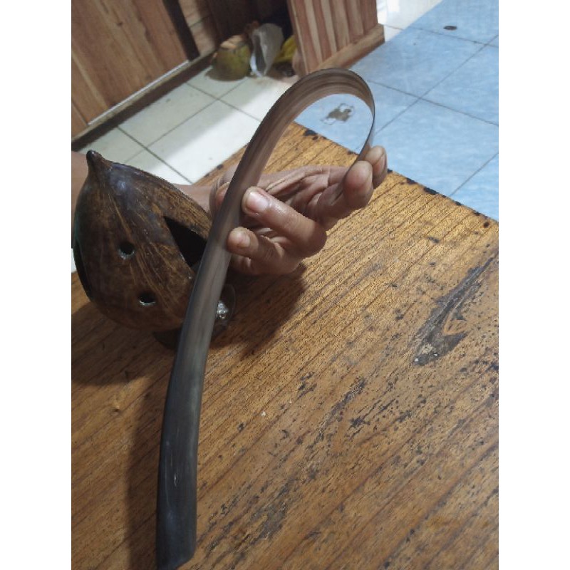 Pisau tanduk kupas kelapa thailand