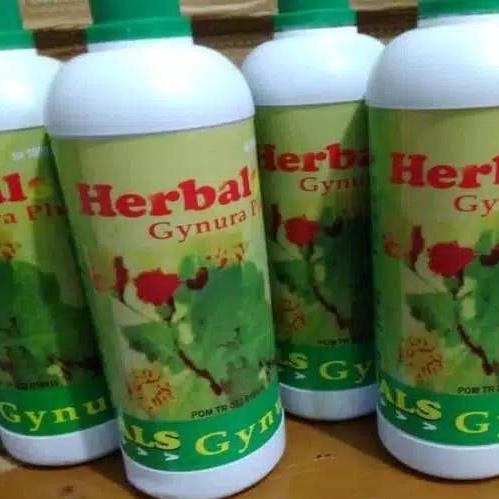 Promo Herbals Gynura Plus  Original 1000 ml / 1 Liter Obat Ramuan Alami Asli Manjur Daun Dewa Ginura