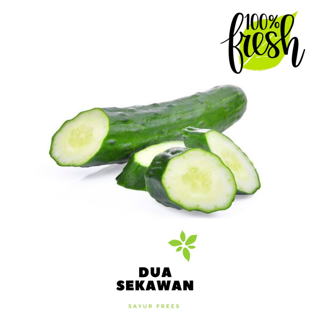 

Dua Sekawan | timun Jepang kyuri fresh