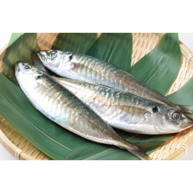 

Ikan Layang Papapangan - 250 gram