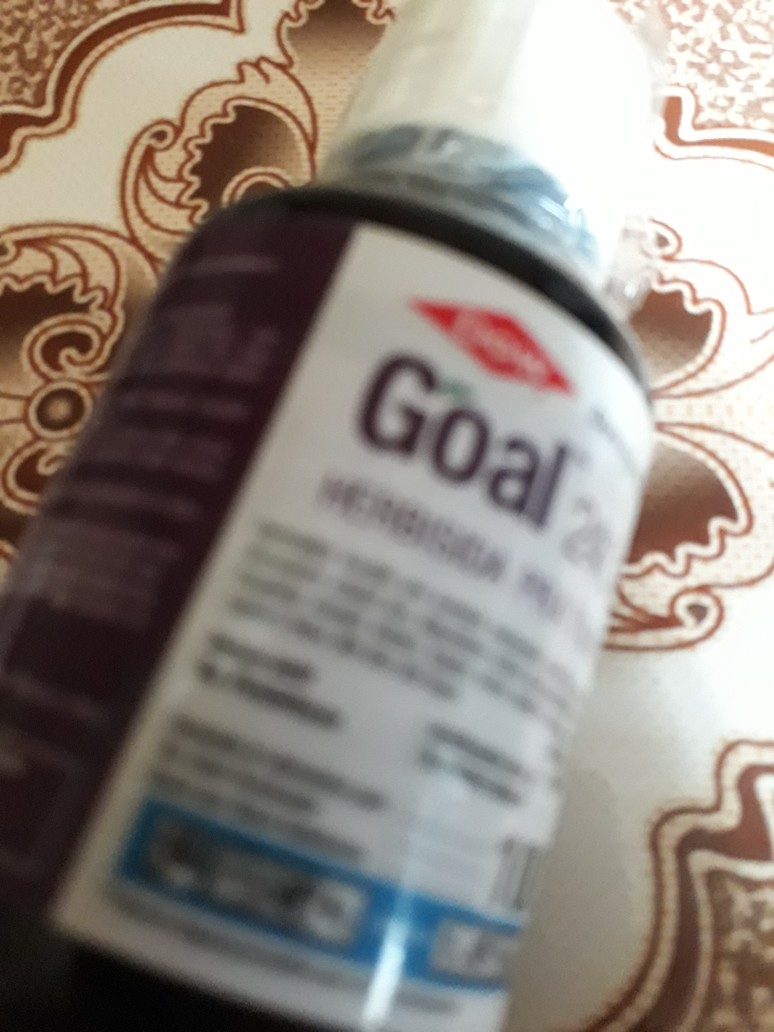 Goal 240 Ec 100 Ml Herbisida