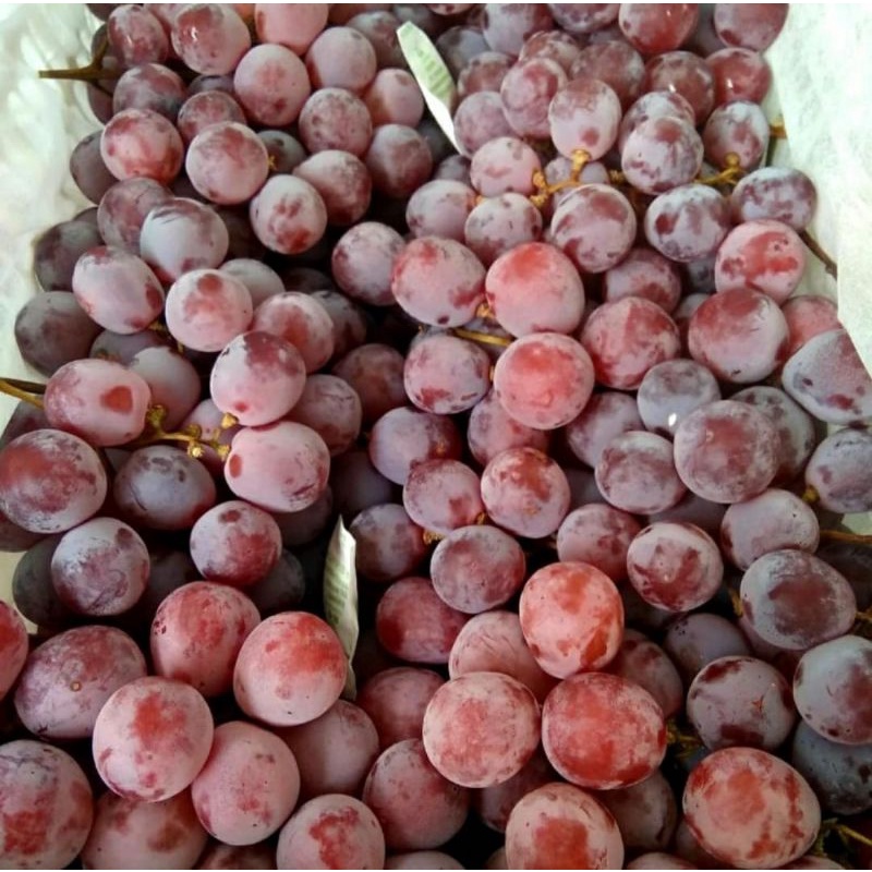 buah anggur red globe imoport /box keranjang