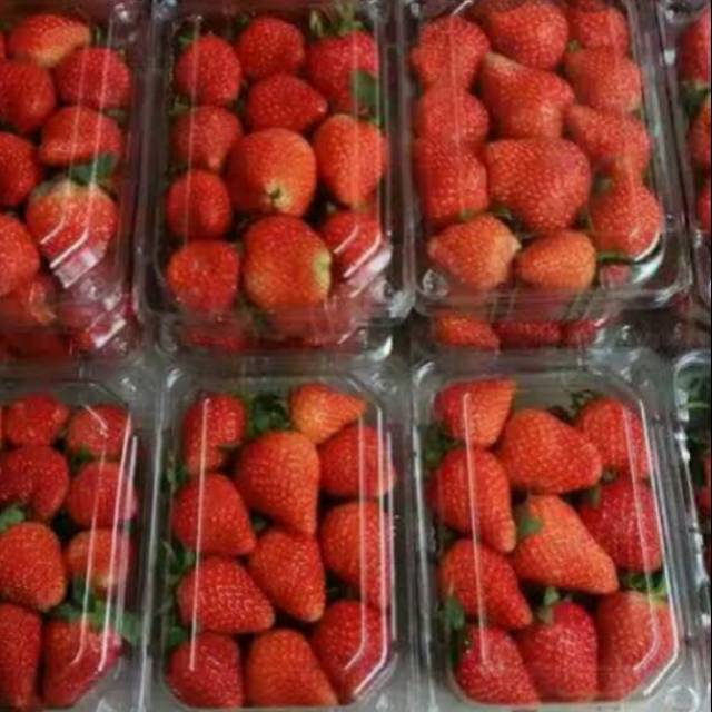

Buah Strobery segar
