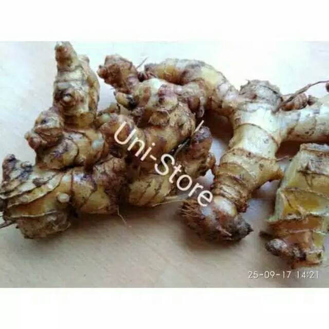 

500 gr lempuyang