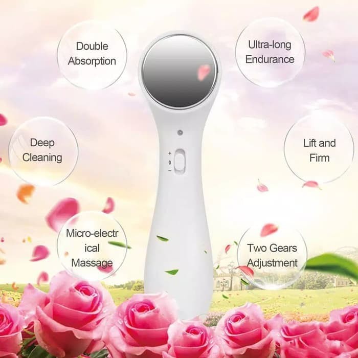 Alat Setrika Wajah ION Face Massager Penghalus Pijat Wajah Original