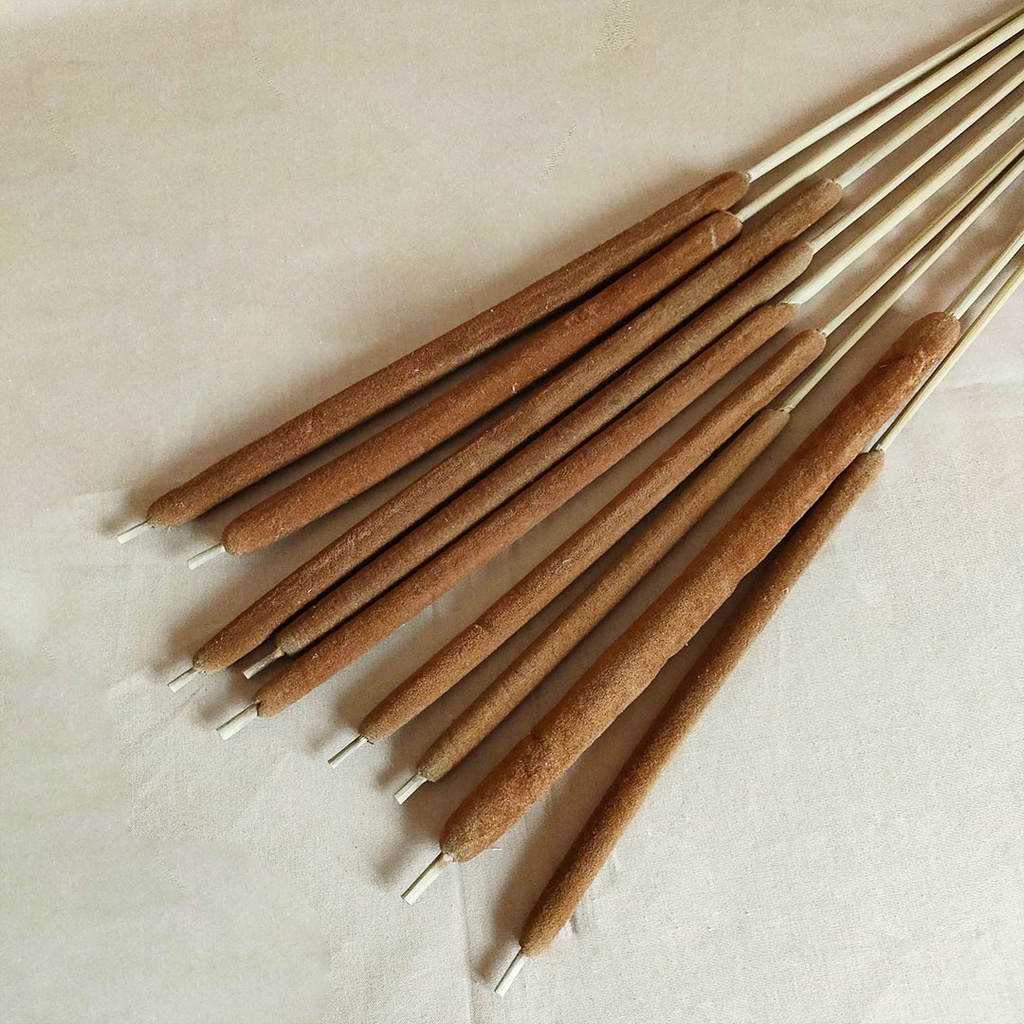 Dried Cattail Kering Asli Color Warna Natural Rumput Ekor Kucing Bulrush Typha Dekorasi Hiasan Rumah