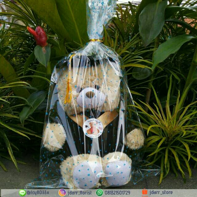 Boneka Wisuda Teddy Bear Murah